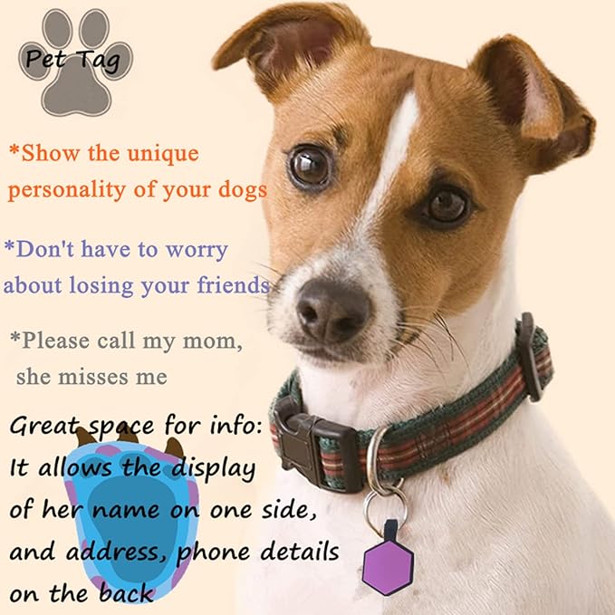 6 Pack Original Silent Hexagon Shape Silicone Pet Tag,Modifiable ID Dog Tags,with Double Blank Sides to Engrave,6 Lovely Colors in One Set