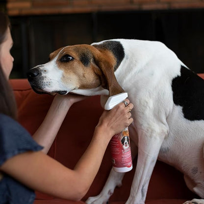 Bio-Groom Flea & Tick Dog Shampoo - Flea and Tick Prevention for Dogs, Cat Flea Treatment, Cruelty-Free, Made in USA, Natural Tick Repellent, Protein-Lanolin Shampoo - 2.5 Gallons