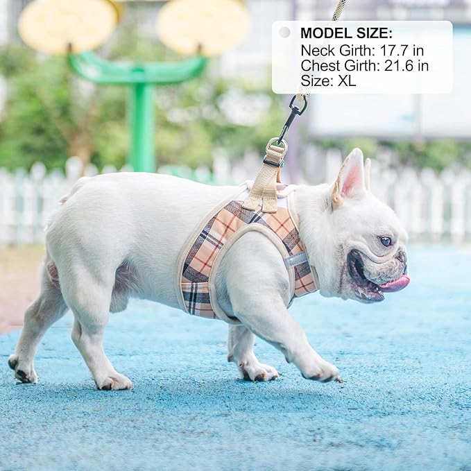 BEAUTYZOO Small Dog Harness and Leash Set,Step in No Chock No Pull Soft Mesh Dog Harnesses Reflective for Extra-Small/Small Medium Puppy Dogs and Cats, Plaid Dog Vest Harness for XS S Pets, Beige XL