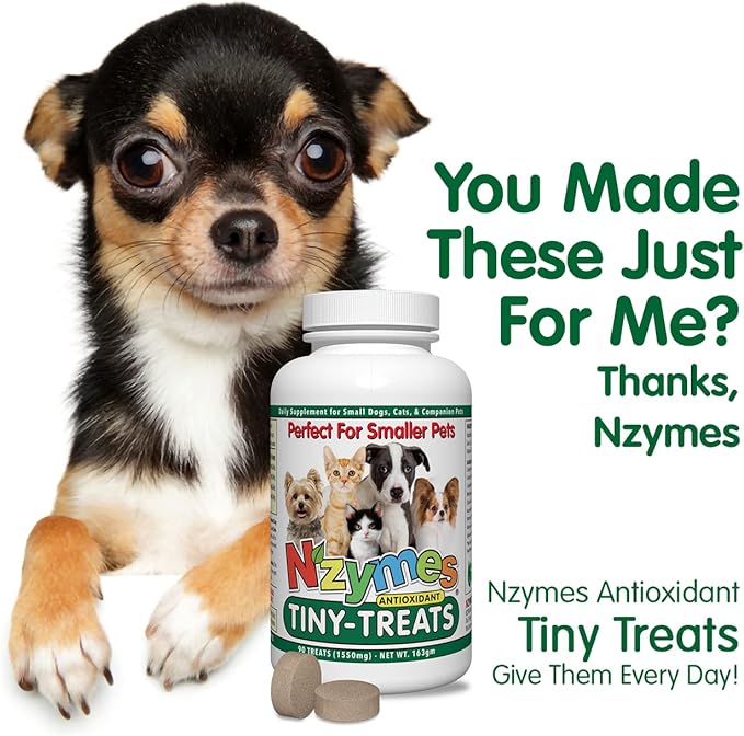 Nzymes® Antioxidant Tiny Treats - for Dogs Joints, HIPS, Paralysis, Skin, Coat, Hair Loss, Aging, Digestion, Seizures - Dog Treats for Small Dogs - 90 Treats - Made in The USA