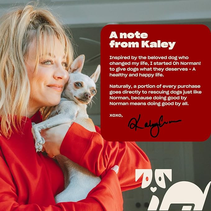 Fresh and Foamy Waterless Shampoo by Kaley Cuoco, No Rinse Dry Shampoo for Dogs, Magic Mandarin Scent, Hypoallergenic, Cruelty-Free, 7.1 Fl Oz