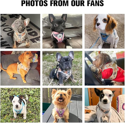 BEAUTYZOO Small Dog Harness and Leash Set,Step in No Chock No Pull Soft Mesh Dog Harnesses Reflective for Extra-Small/Small Medium Puppy Dogs and Cats, Plaid Dog Vest Harness for XS S Pets, Red S