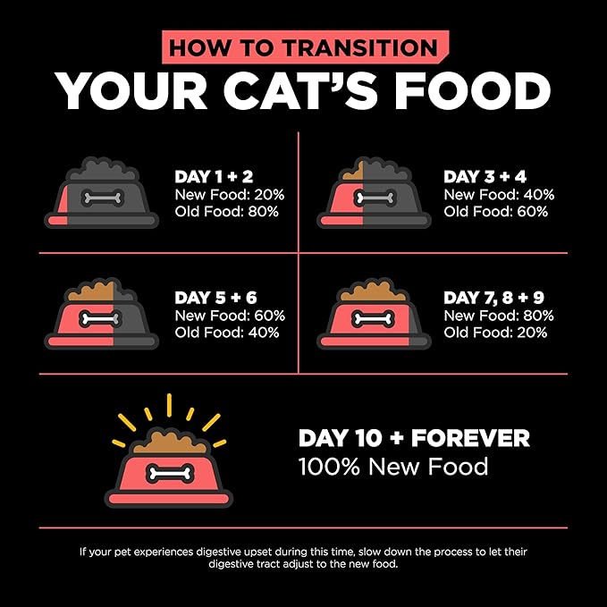 Go! Solutions Carnivore, Grain-Free, Protein Rich Dry Cat Food, Salmon and Cod Recipe, 3 lb Bag