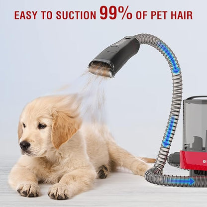 DOGCARE 6-in-1 Dog Modern Grooming Kit with Vacuum, Cat & Dog Clippers & Vacuum for Shedding Grooming with 2.5L Large Capacity Dust Box, Powerful Suction and Lower Noise Pet Grooming Kit at Home