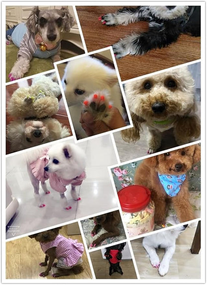 100pcs Dog Nail Caps Dog Caps Dog Nail Covers for Pet Dog Paws with 5pcs Adhesive Glue+5pcs Applications and Instructions