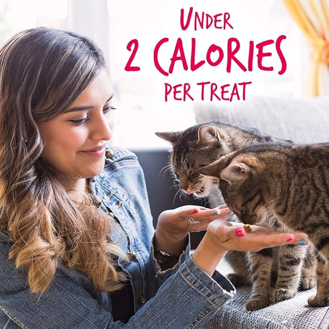 Fruitables Cat Treats Crunchy Salmon & Cranberry Cat Treats Healthy Low Calorie, High Protein Wheat, Corn & Soy Free 30 Ounces