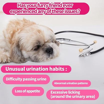 Dog Urinary Tract Supplement, Cranberry Supplement for Dog Urinary Tract, Bladder Support, Kidney Support, 200 Chews Natural Cranberry Support for Dogs