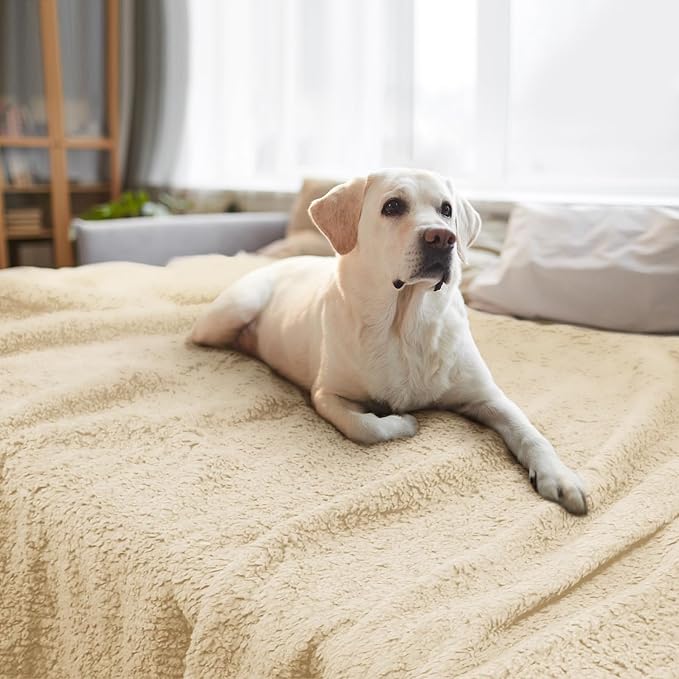 furrybaby Dog Blanket Soft Dog Blankets for Large Dogs Puppy Essentials Washable Sherpa Fleece Cat Blanket 59x78 Inches for Bed Furniture Couch Sofa (Jumbo, Beige)