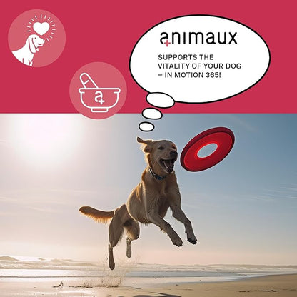 animaux  in Motion 365 for Dogs, Joints, Bones, Mobility, Ligaments and Tendons, Green-Lipped Mussel, Willow Bark and Devil_ Claw, Natural Pain Relief, 60 Chewable Tablets, 60 Days Supply