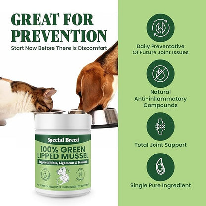 Special Breed Green Lipped Mussel Powder for Dogs & Cats - 100% New Zealand Green Lipped Mussels - Natural Hip & Joint Supplement for Joints, Tendons, Ligaments, Muscles - 400 Grams - 1,333 Servings