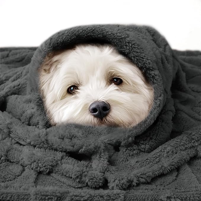 Luciphia Small Dog Blanket Washable Pet Bed Cover Soft Fluffy Puppy Blanket with Premium Fleece Cozy Calming Cat Blankets for Indoor Cats Grey 30x20 inch