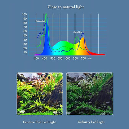 Carefree Fish Aquarium LED Light USB 5V RGBW 5730 Timmer 5~10Gal Fish Tank Clip Light 10 Brightness Levels 8W with USB Port (Include Power Adapter)