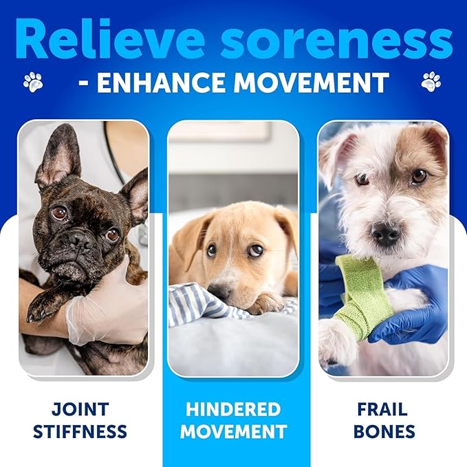 Glucosamine for Dogs - Hip and Joint Supplement for Dogs with Arthritis - Chews with Chondroitin, Hemp Oil, MSM - Canine Joint Pain Relief Health - Mobility Support for Large Breeds - 120 Soft Treats