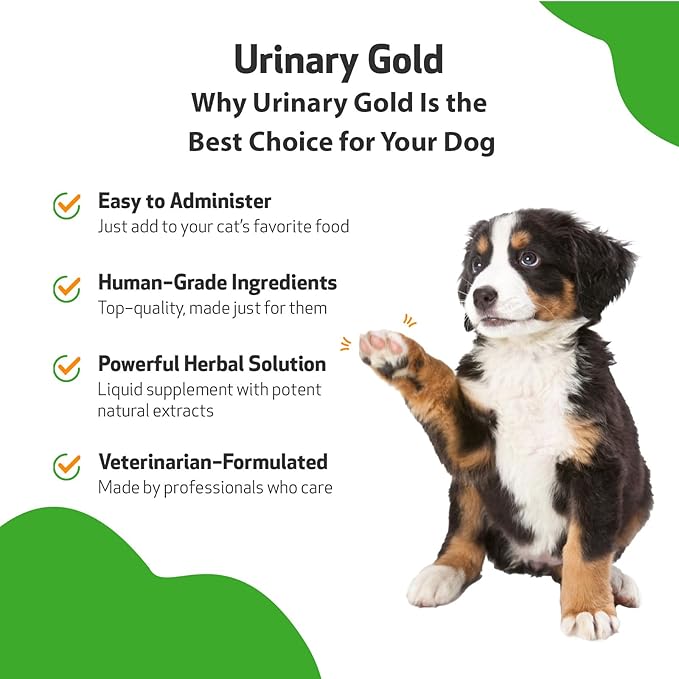 Pet Wellbeing Urinary Gold for Dogs - Vet-Formulated Multi-Herb Urinary Tract Support - Bladder Health & Urinary System Wellness - Natural Dog Supplement - Liquid Formula 2 oz (59ml)