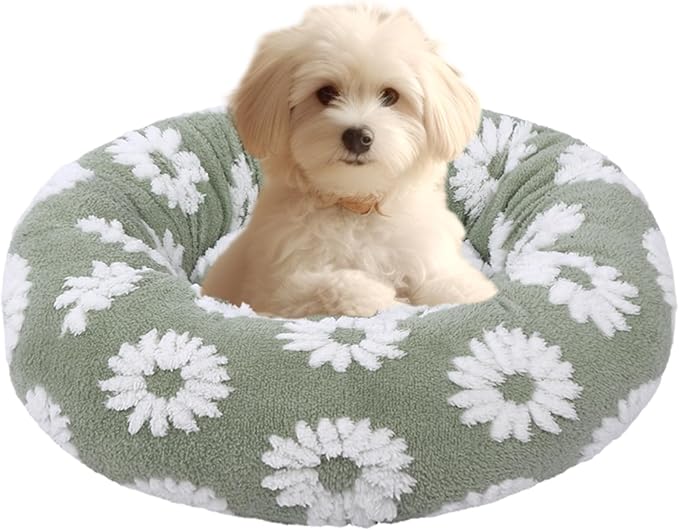 HYQ Small Dog Bed, Cat Beds for Indoor Cats, Dog Beds for Small Dogs with Anti-Slip Bottom, Cute Puppy Bed Washable-White-17inch