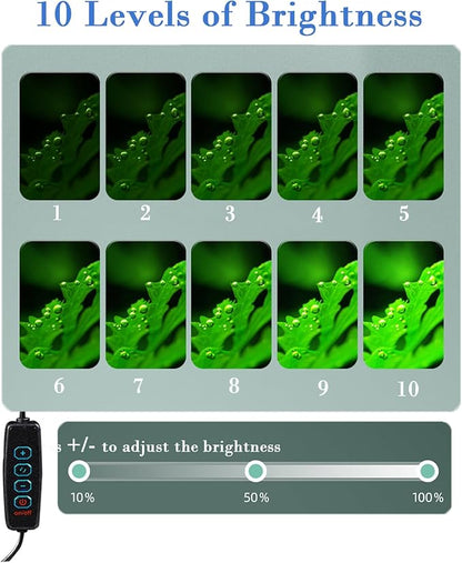 Upgraded Aquarium Light Clip On Fish Tank LED Light Small USB Light Dimmer Multi-Color White+Warm Yellow+Yellow 1 to 5 Gal (Adapter NOT Included, No Timer)