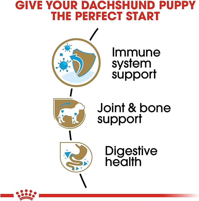 Royal Canin Dachshund Puppy Breed Specific Dry Dog Food, 2.5 lb bag