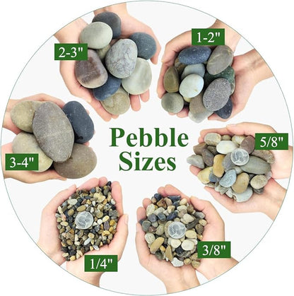 5lbs Aquarium Gravel, 1/4" Fish Tank Gravel Natural River Rocks Succulent Cactus Pea Gravel for Plants, Pebbles for Gardening, Flower Pots, Vase Fillers, Indoor Water Fountains, Landscaping