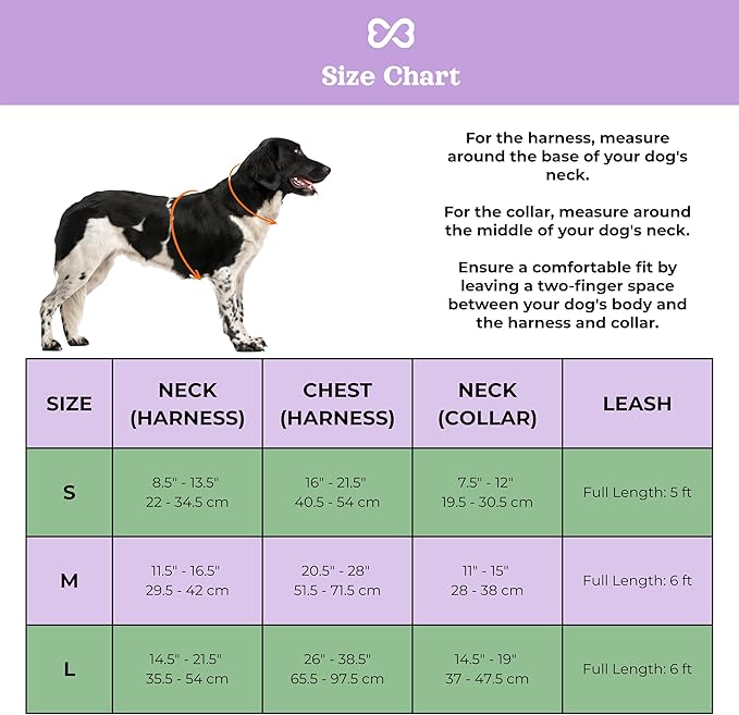 Dog Harness and Leash Set | BearBone No Pull Dog Harness and Waterproof Dog Collar and Leash Set | Heavy Duty Dog Harness, Leash and Collar | Medium Dog Harness, Leash and Collar (Lilac, Medium)