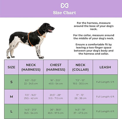 Dog Harness and Leash Set | BearBone No Pull Dog Harness and Waterproof Dog Collar and Leash Set | Heavy Duty Dog Harness, Leash and Collar | Leash, Collar and Harness Large Size Dog (Lilac, Large)