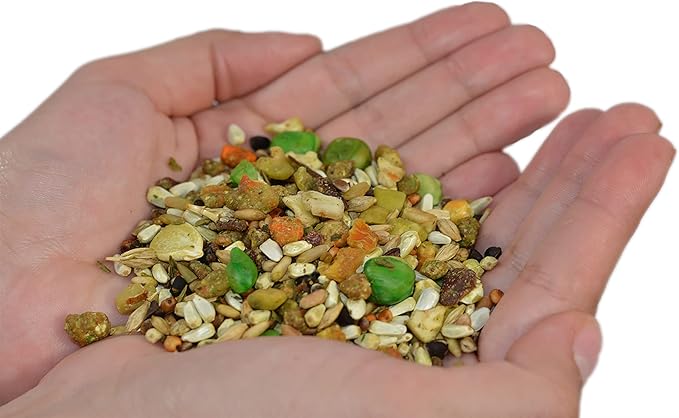 Birds LOVE All Natural Garden Blend Bird Food for Conures - Sunflower Free 4lb