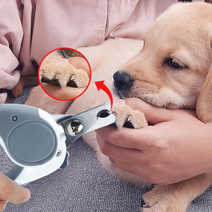 Pet Nail Clippers, Dog Nail Trimmers with Safety Guard to Avoid Excessive Cutting Nails, Dog Grooming Clippers has a Variety of Colors Suitable for Dogs, Cats and Other Petsï¼_reyï¼