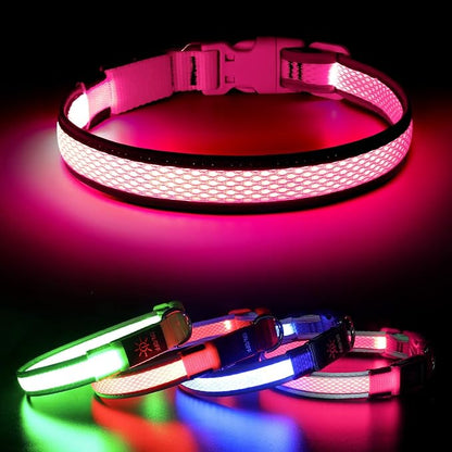 BSEEN Light up Dog Collar Lights for Night Walking - Waterproof LED Dog Collar Light Rechargeable Glow in The Dark Dog Collars for Small Dogs (Pink, Small)