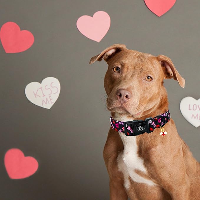 Elegant little tail Valentine's Day Dog Collar-Cute Heart Dog Collar for Medium Dogs, Female or Male Adjustable Cotton Pet Collar with Quick Release Buckle for Small Medium Large Dogs