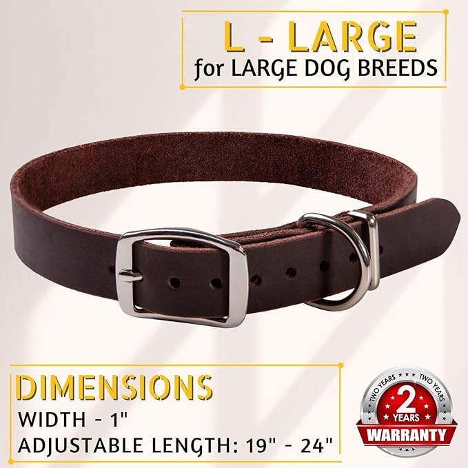 Adityna - Leather Dog Collar for Large Dogs - Classic Style, Soft and Strong, Heavy-Duty Top-Grain Leather Collar for Walking, Training, Hunting, and Running (L - Neck: 19-24 inches, Brown)