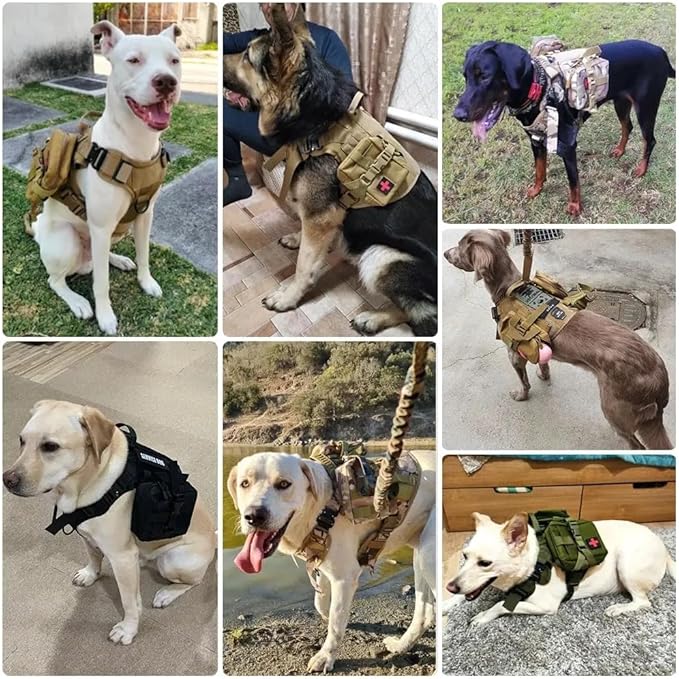Dog Harness for Small Medium Large Sized Dogs, Durable Tactical Vest for Pets, Cooling Coat for Dogs, Outdoor-Resistant, pet Training Chest, and leashes. (Small)