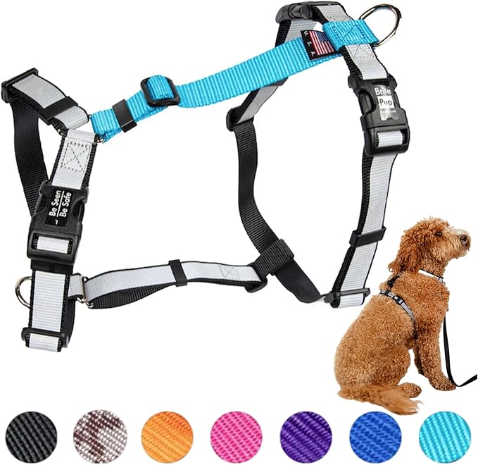 Dog Harness for Medium Dogs No Pull - Fully Customizable Fitment - 3M Reflective Heavy Duty Harness for Walking & Training - No Choke Comfortable Collar Design, Made in USA M-Sky Blue