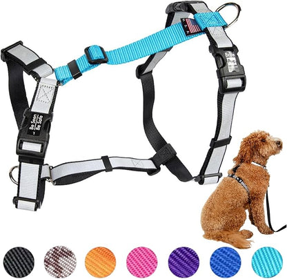 Dog Harness for Medium Dogs No Pull - Fully Customizable Fitment - 3M Reflective Heavy Duty Harness for Walking & Training - No Choke Comfortable Collar Design, Made in USA M-Sky Blue
