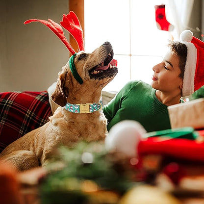 Christmas Dog Collars for Large Dog,Green Santa Claus Dog Collar with Safety Metal Buckle Adjustable Puppy Collars for Small Medium Dog,Boy&Girl&Male&Female Dog Gift,L-16-24"