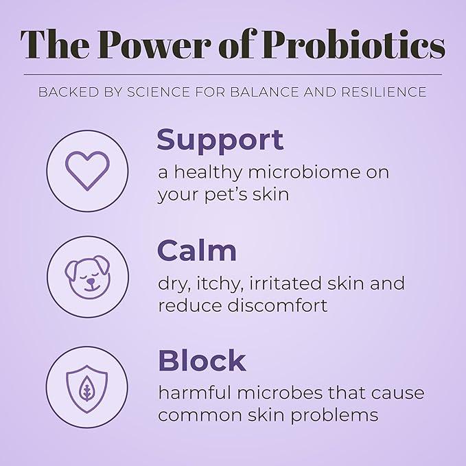 Skout's Honor Probiotic Pet Shampoo & Conditioner with Avocado Oil & Omega-3s, 97% Natural, Paraben & Sulfate-Free, Cruelty-Free, 16oz, Lavender, 2-Pack