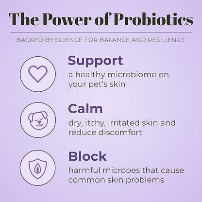 Skout's Honor Probiotic Pet Shampoo & Conditioner with Avocado Oil & Omega-3s, 97% Natural, Paraben & Sulfate-Free, Cruelty-Free, 16oz, Lavender, 2-Pack