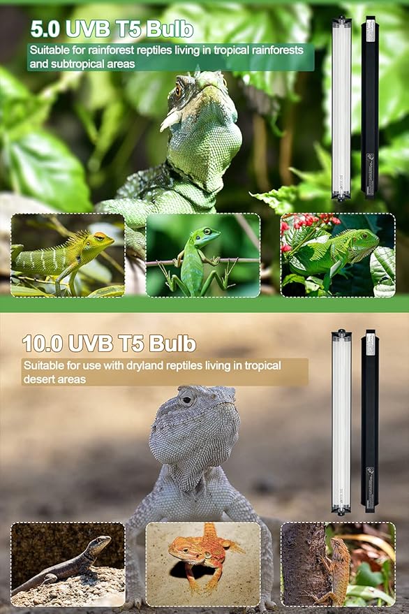 8W T5 HO UVB Reptile Light Fixture Kit, Terrarium Hood Light with Reptile Desert UVB 10.0 Fluorescent Tube