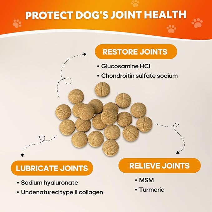 Hip and Joint Supplement for Dogs, Joint Pain Relief Supplement with MSM, Glucosamine, Chondroitin, Support Mobility, Health Chews for Dog, 120 Chews