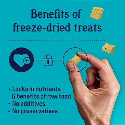 Stewart Freeze Dried Dog Treats, Shine Salmon & Sweet Potato, Made with Omega 3 & Salmon Oil, Grain Free, 8 Ounce Resealable Pouch, Made in USA