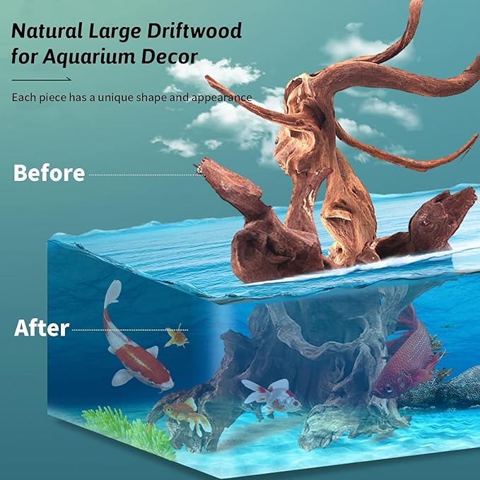 Hamiledyi 12Pcs Small Driftwood for Aquarium 4.1"-7.2" Driftwood Branches Aquarium Wood Decoration Natural Fish Tank Habitat Decor Wood for Lizard Assorted Size