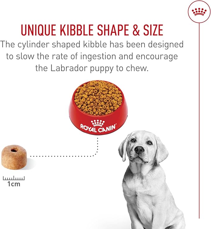 Royal Canin Breed Health Nutrition Labrador Retriever Puppy Dry Dog Food, 30 lb.