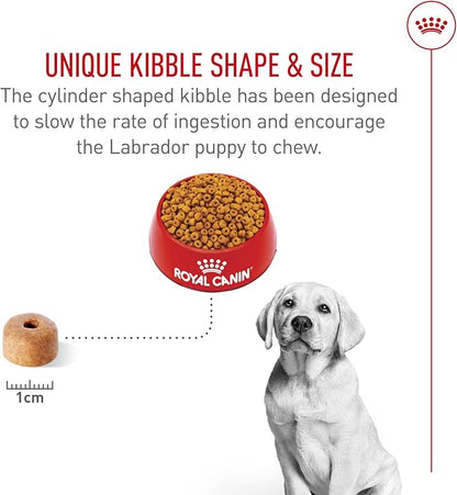 Royal Canin Breed Health Nutrition Labrador Retriever Puppy Dry Dog Food, 30 lb.