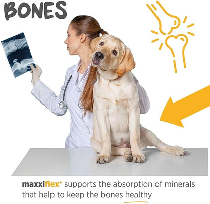 maxxipaws - maxxiflex+ Hip & Joint Supplement for Dogs with Glucosamine, Chondroitin, MSM & Collagen | Mobility, Flexibility & Discomfort Support | Senior, Adult & All Breeds | 60 Tablets