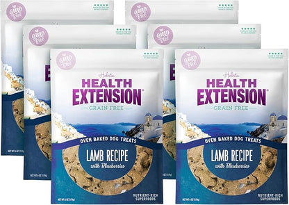 Health Extension Oven-Baked Dog Treats, 6oz (170g), Lamb & Blueberry Recipe – Gluten & Grain-Free, Superfood-Infused, Crunchy Biscuits for Puppy Training (Pack of 6)