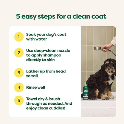 Earth Rated Curly Coat Essentials - Dog Shampoo, Grooming Wipes, Refresh Mist, Eye Wipes & No-Rinse Shampoo