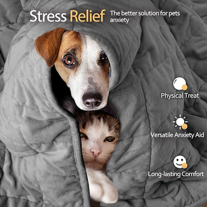 LaSyL Weighted Blanket for Pets | Thunder Blanket for Dogs Anxiety | Premium Soft Minky | Relaxation & Calming & Anti Anxiety | Used in Car, Bed, Couch | Dark Grey, Washable Medium 32" L x 40" W