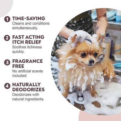 2in1 Pet Shampoo & Conditioner with Pet Brush, 16 oz, Fragrance Free