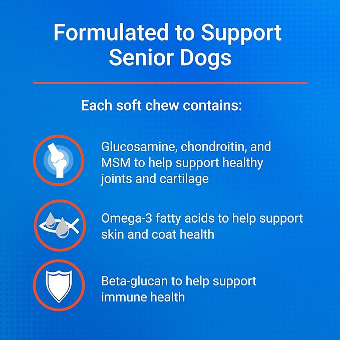 Nutramax Cosequin for Senior Dogs Joint Health Supplement, Contains Glucosamine for Dogs, Chondroitin, MSM, Omega-3s and Beta-Glucan, Supports Joint, Skin and Coat, Immune Health, Soft Chews, 60 Count