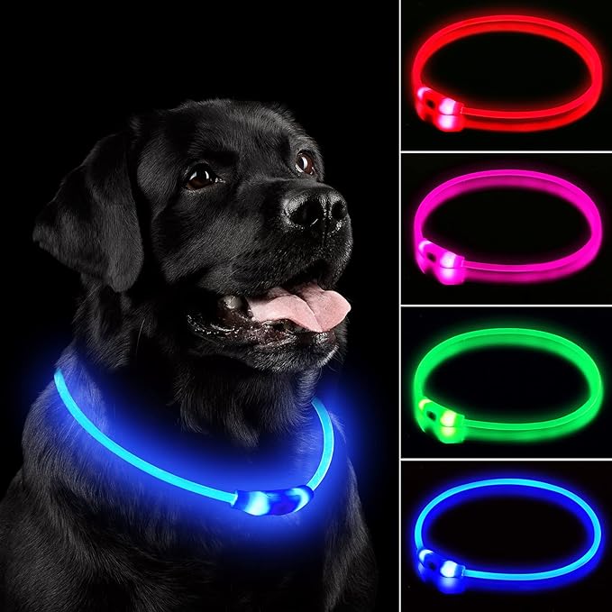 LED Dog Collar, Rechargeable Light Up Dog Collars,IP67 Waterproof Dog Lights for Night Walkingï¼_djustable, Reusable Safety Necklace for Small Medium Large Dogs(Blue)