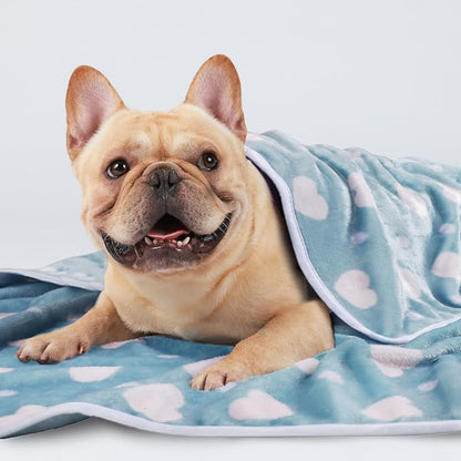1 Pack 3 Blankets Super Soft Cute Dot Pattern Pet Blanket Flannel Throw for Dog Puppy Cat Purple/Pink/Cyan Small
