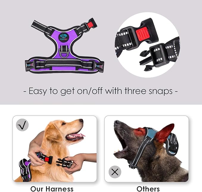 PHOEPET No Pull Dog Harnesses for Small Dogs Reflective Adjustable Front Clip Vest with Handle 2 Metal Rings 3 Buckles [Easy to Put on & Take Off](XS, Purple)
